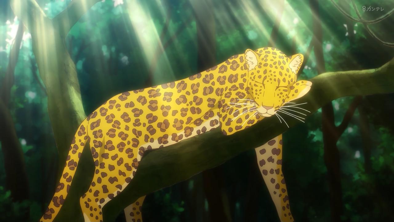 ｱﾆﾒ関西ﾛｰｶﾙ58666◇闇ヒーラー最終回 ->画像>445枚 