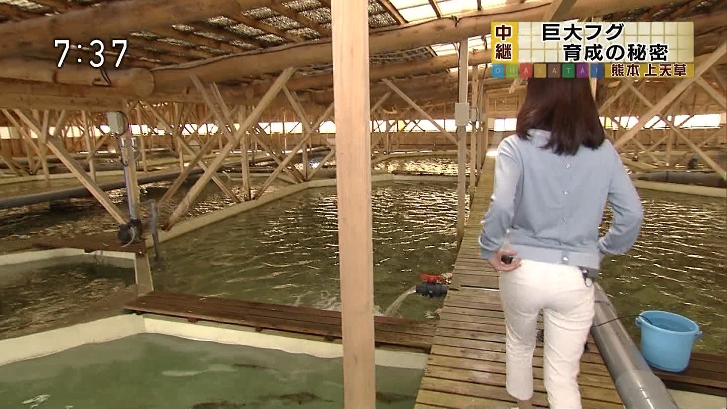 NHK総合を常に実況し続けるスレ 229530 水曜ナイトフィーバー YouTube動画>2本 ->画像>26枚
